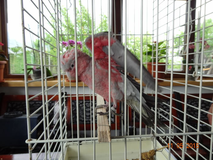 DSC08318