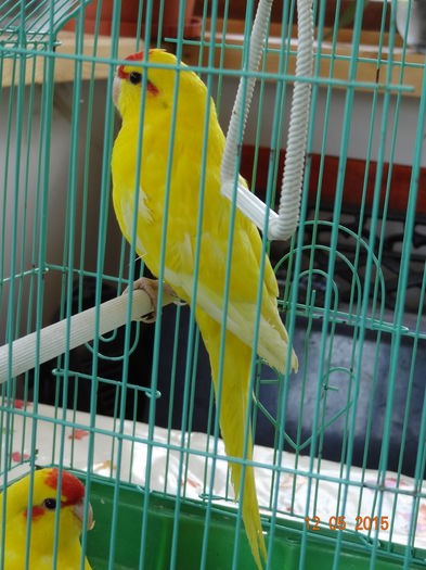 DSC08327