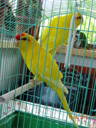 DSC08353