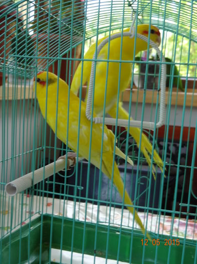 DSC08355