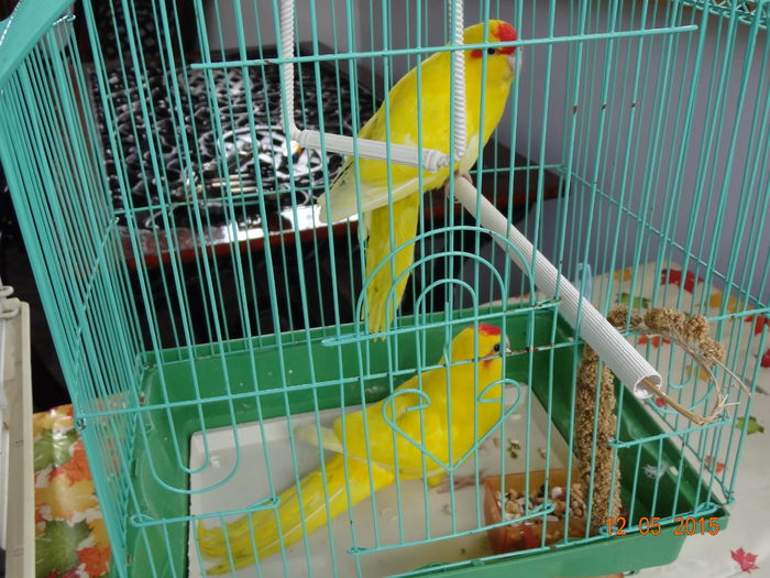 DSC08386