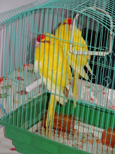 DSC08502