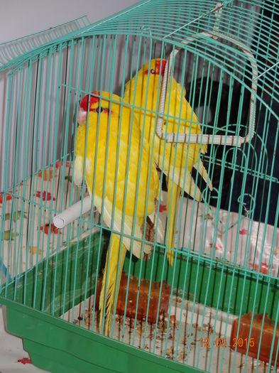 DSC08504