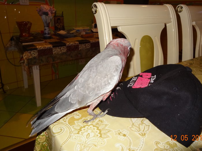DSC08602