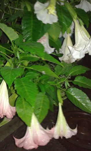 20150929_215647