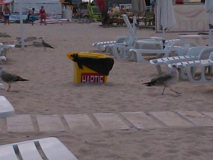 IMG_20150909_143840 - Eforie Nord