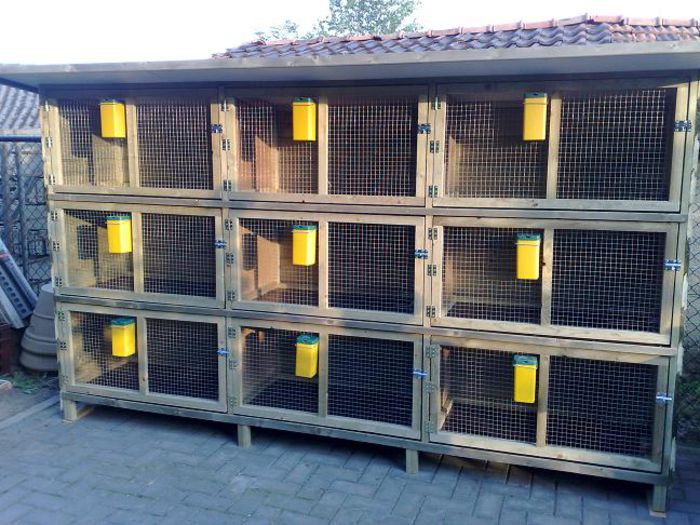 Cxnn94n7rmgjGw8nacQ54CmB5BZLfELa3wNaWEeYWqNwRDFfaMshtOsSMqwD9wzZz