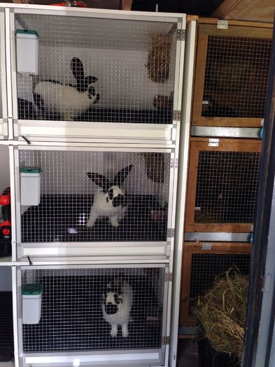 hpWmm7qLg4byArnEEcg1pzgtDgLHnbtrbxHcA6CEeLTGWwPprPT66gHk2AC89rj9N