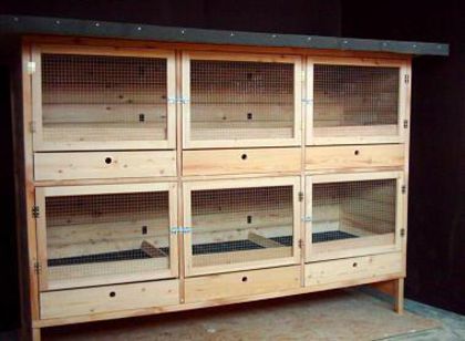 32158_190440971096126_539843937_n