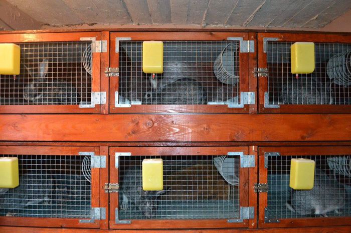 10854941_1564361397174540_1712418562886850900_o