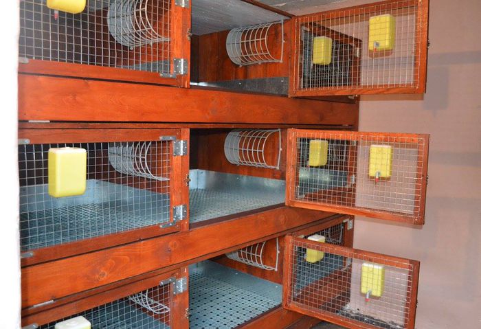 10855100_1564361307174549_7071318123591736715_o