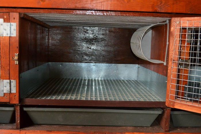 11044998_1564361310507882_8367989417069697726_o