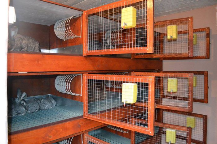 11046359_1564361433841203_7503768635706614889_o