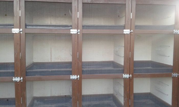 11059337_904873489580263_4996179782753350049_o