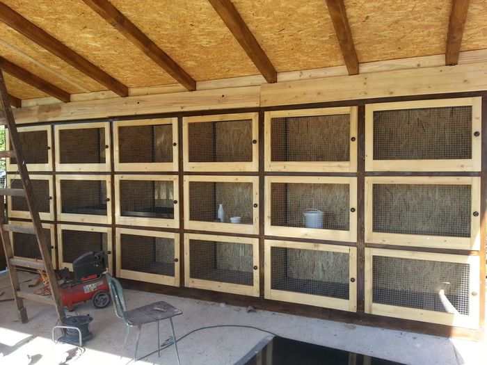 Cusca unui crescator din Romania  Paul