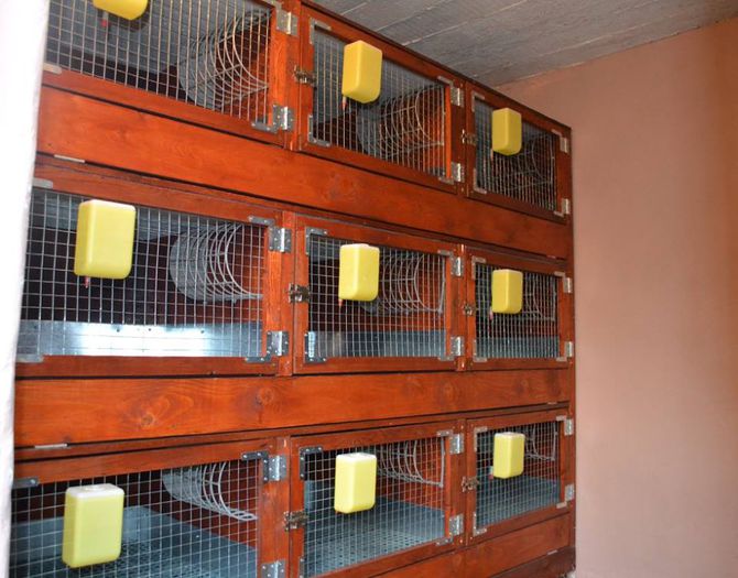 11075269_1564361293841217_3971966946475601263_n