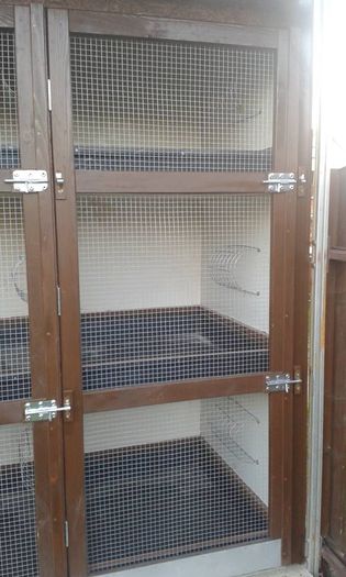 11407214_904874009580211_1282025646718308294_n - Colectie custi