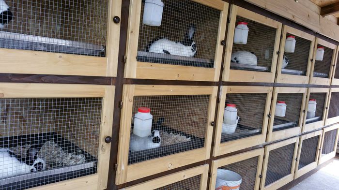 11722650_574086786062463_3543386437241875413_o