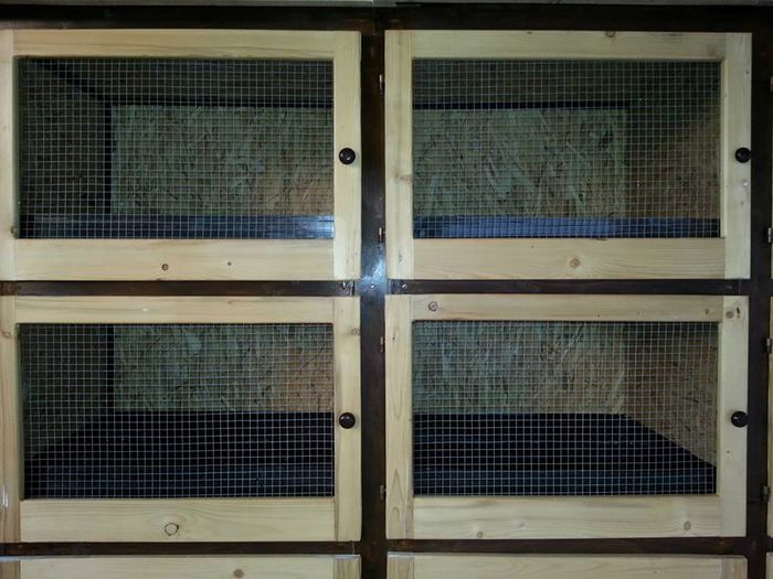 11751886_574086706062471_2700981800975674222_n