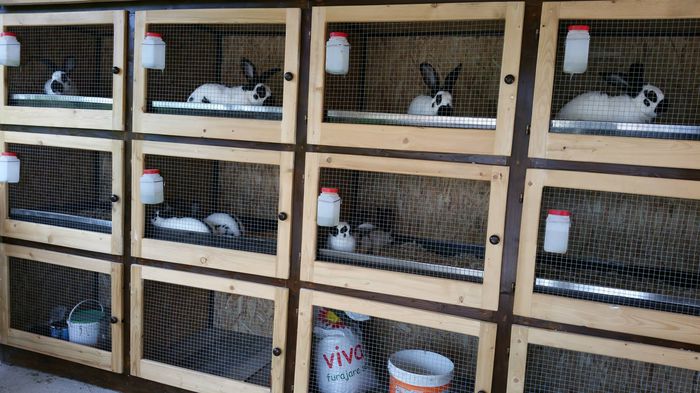 11779854_574086762729132_4900430483392404173_o