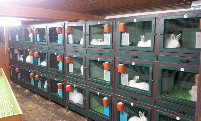 Bilder_01.04.12_Stall_034