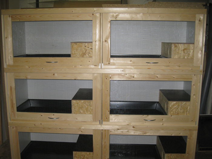 cusca neo 2; La superlativ
