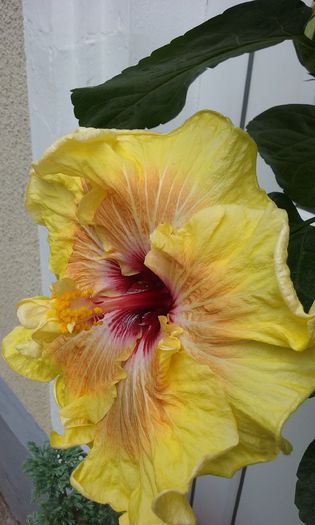 038