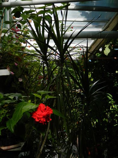 DSCN8906