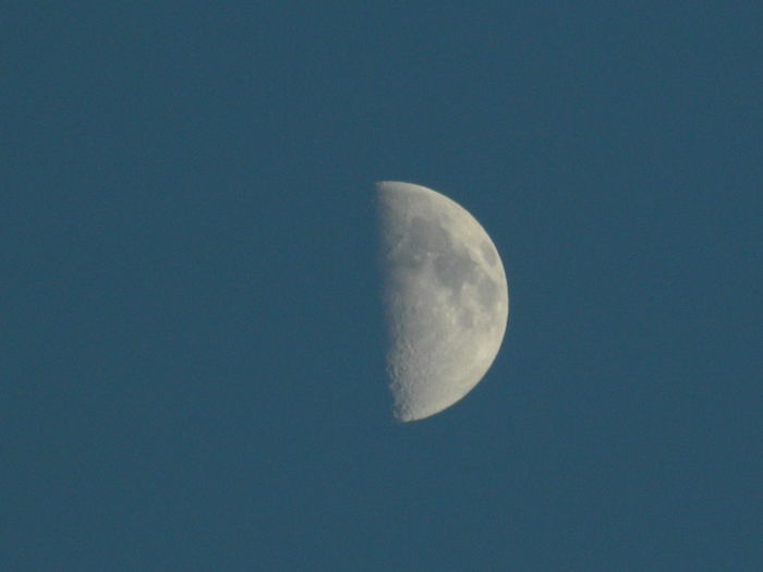 DSCN8921