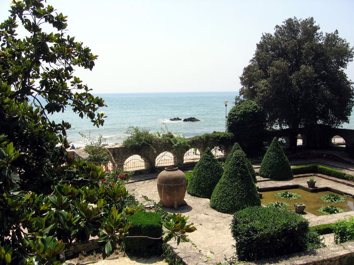  - 2007