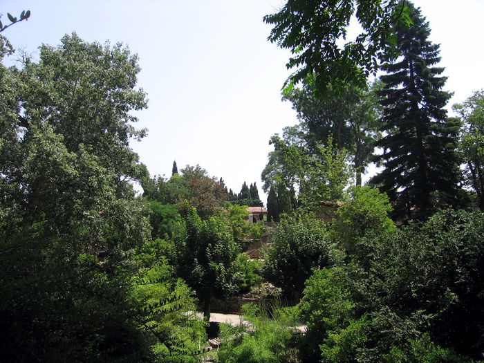  - 2007