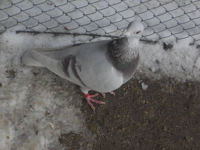 10408674_289228537944072_8197084589500890797_n