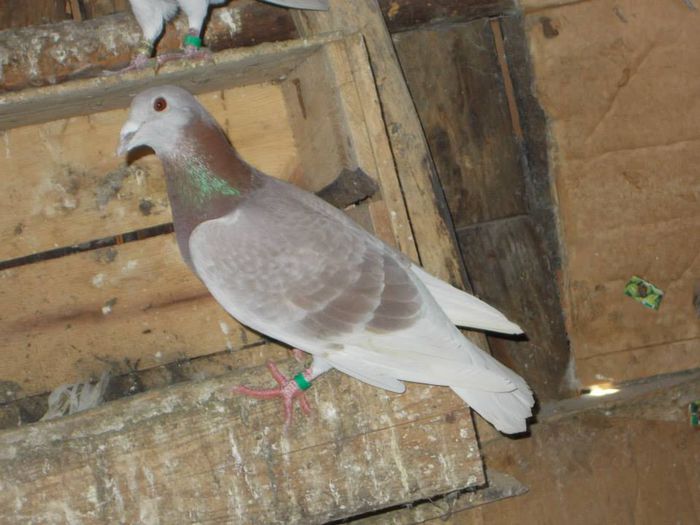 10934073_312054198994839_8747409310512689320_n