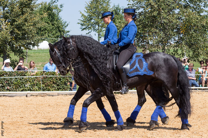 Fresieni deosebiti-84