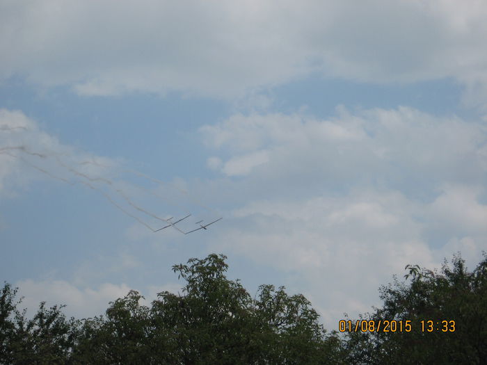Picture 3988