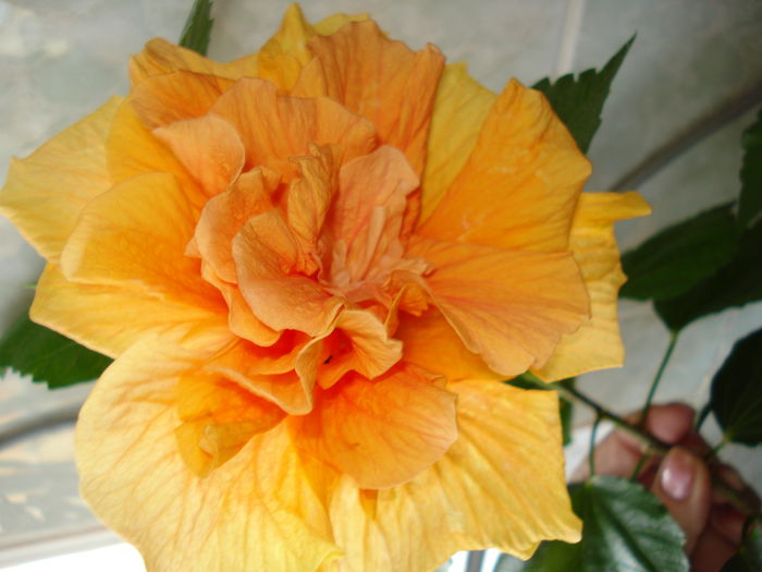 DSC06770
