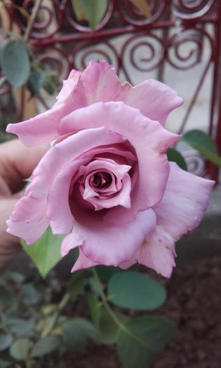 20151002_095533
