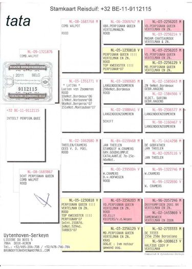 it-15-72622-tata - Loc 18 Balkanic M