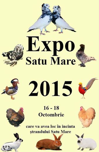 Invitatie la expo Satu Mare; Asociatia crescatorilor de pasari si animale mici Somes Satu Mare organizeaza expozitia  de tineret 2015 in incinta strandului Satu Mare
