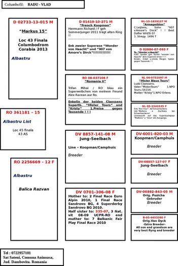 361181-15 pedigree - Loc 45 si 43 AS Aripi Curcubeu M