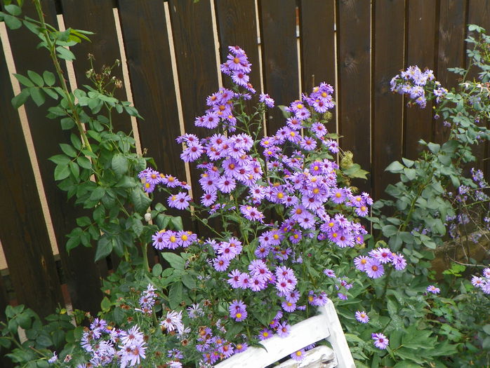 30 sept 031