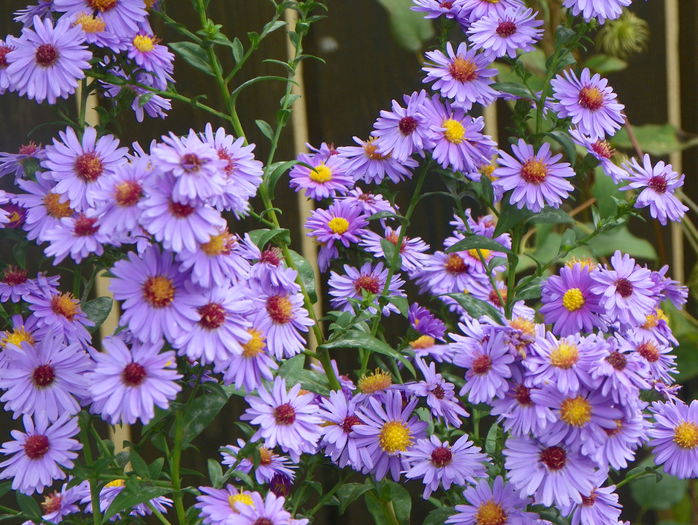 30 sept 032