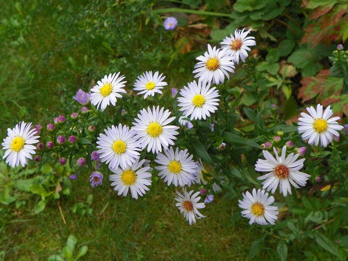 30 sept 033