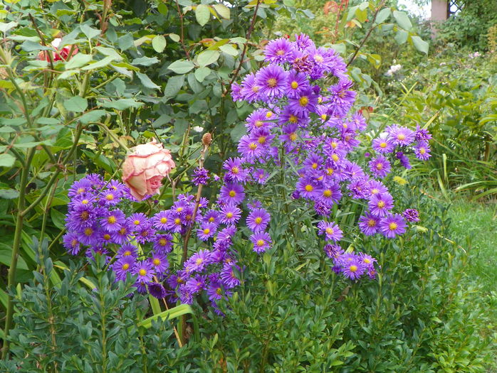 30 sept 035