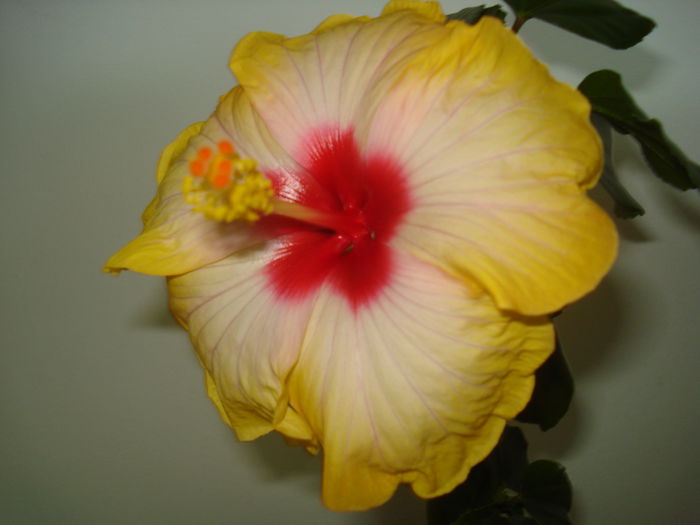 DSC03839