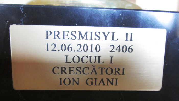 Columbofil Ion Giani - Bucuresti - 3-Trofee castigate