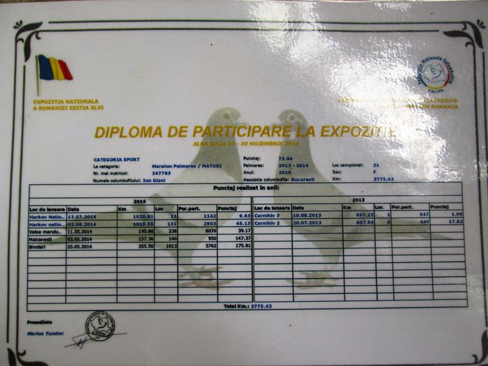 Columbofil Ion Giani - Bucuresti - 4-Diplome din expozitiile nationale
