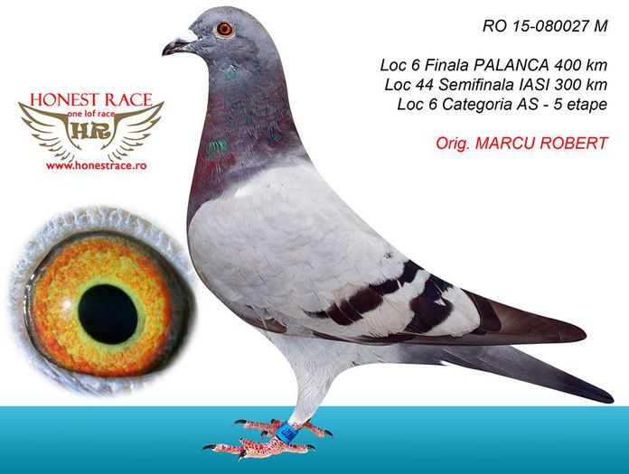 MARCU ROBERT  RO-15-080027