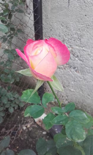 20151004_171742