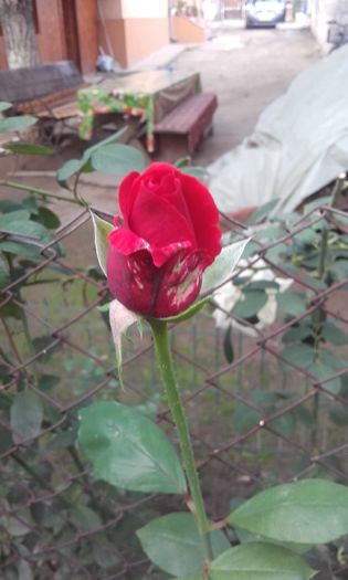 20151004_171747